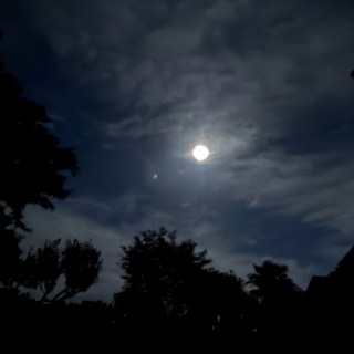 🌔