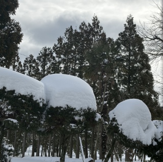 23������