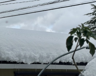 25������