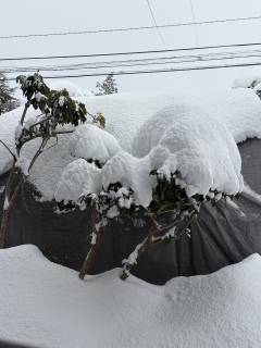 30������